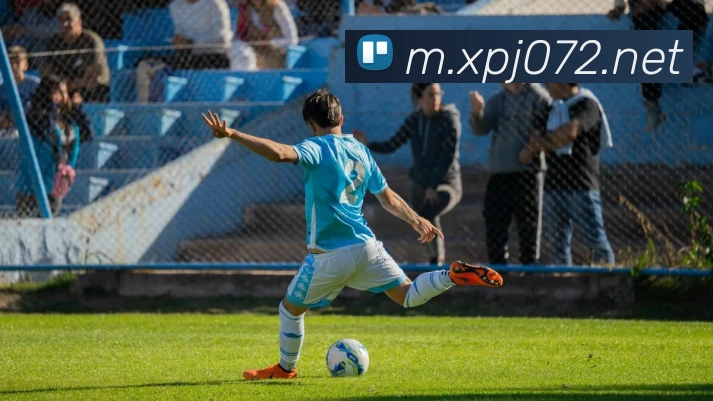 数据分析功能